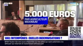 Var: après les intempéries, les agriculteurs peuvent espérer jusqu'à 5000 euros d'aides de l'Etat