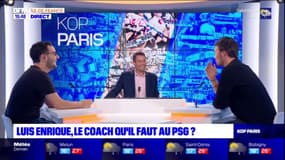 PSG: sur quel effectif pourra compter Luis Enrique?
