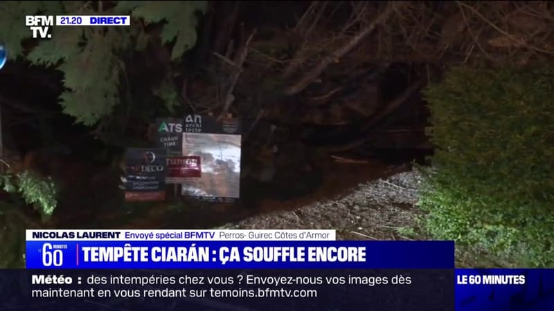 Tempête Ciarán: des coupures d'électricité causées par la chute d'un arbre à Perros-Guirec (Côtes-d'Armor)