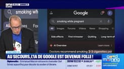 Culture IA : Au secours, l'IA de Google est devenue folle !, par Anthony Morel - 28/05