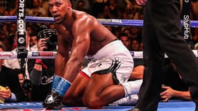 Tyson Fury conseille à Anthony Joshua de prendre sa retraite. 