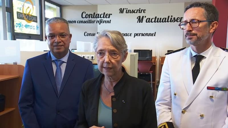 Cumul RSA-emploi saisonnier: Élisabeth Borne veut ouvrir le dispositif à La Réunion