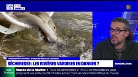 Comment la sécheresse impacte la biodiversité dans les rivières varoises