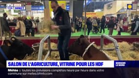 Le Salon de l'Agriculture, une vitrine pour les Hauts-de-France