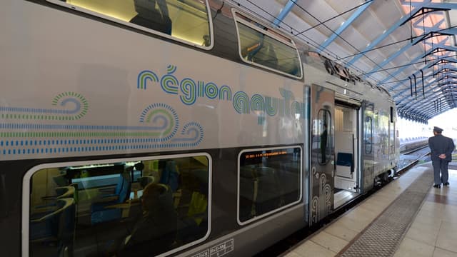 Bombardier produit tramways, métros, trains régionaux et à grande vitesse, qui lui ont permis de décrocher plusieurs contrats en France.   
