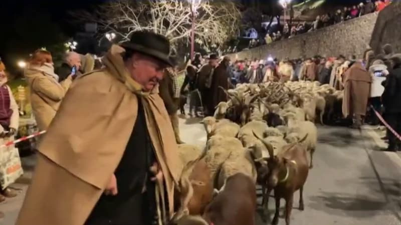 Allauch: 150 moutons et chèvres participent à la descente des bergers pour Noël