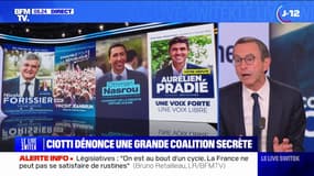 Législatives: les candidats LR "dénationalisent" leurs tracts pour s'adapter à leur circonscription, selon Bruno Retailleau