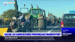 Salon-de-Provence: les agriculteurs provençaux manifestent