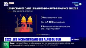 Alpes du Sud: plus de 1300 hectares brûlés en 2022