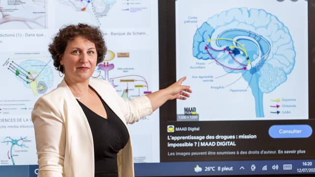 Claire Stride : consultante atypique en intelligence relationnelle