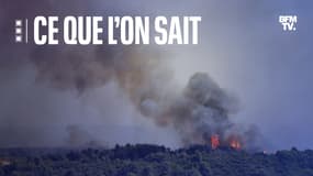 Un incendie qui réunit deux feux est toujours en cours dans l'Hérault le 26 juillet 2022.