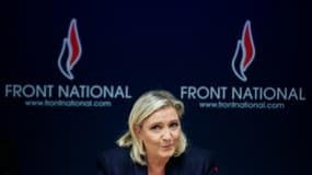 Le président de SOS Racisme, Dominique Sopo, a été relaxé ce jeudi par la cour d'appel de Paris, dans une affaire où Marine Le Pen le poursuivait en diffamation pour un communiqué évoquant la présence de la présidente du FN à un "bal antisémite" à Vienne - Jeudi 14 janvier 2016