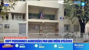 Ecole Jean-Macé à Nice : sept personnes agressées par une mère d'élèves