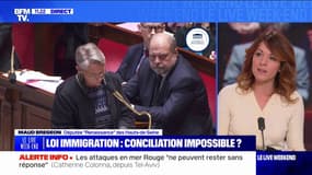 Loi Immigration: "Je suis prête à faire un pas vers mes collègues LR " estime Maud Bregeon, députée "Renaissance" des Hauts-de-Seine