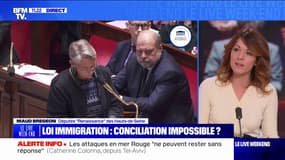 Loi Immigration: "Je suis prête à faire un pas vers mes collègues LR " estime Maud Bregeon, députée "Renaissance" des Hauts-de-Seine