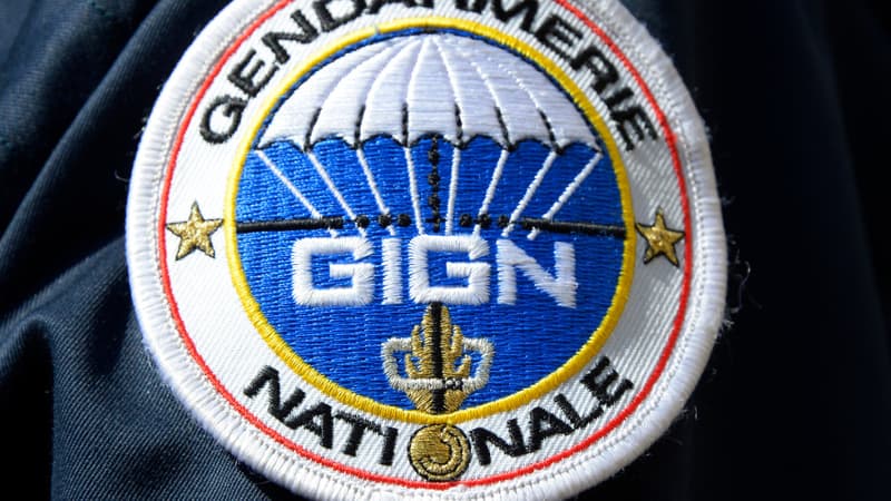 Insigne du GIGN (illustration).
