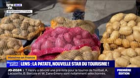 À Lens, l'office de tourisme lance le "Patate tour", pour découvrir la patate dans tous ses états