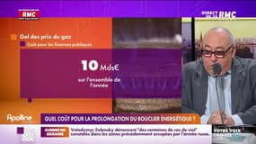 L’info éco/conso du jour d’Emmanuel Lechypre : Quel coût pour la prolongation du bouclier énergétique ? -13/04