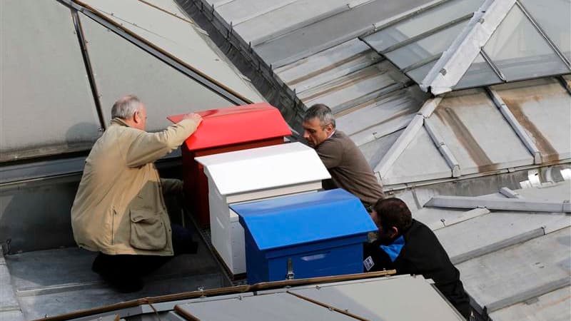 Trois ruches - une bleue, une blanche et une rouge - ont été installées sur le toit de la salle des fêtes qui relie l'hôtel de Lassay, la résidence du président de l'Assemblée, au Palais Bourbon qui abrite notamment l'hémicycle. Certains l'ont déjà rebapt