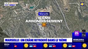 Marseille: un crâne humain retrouvé dans un logement, des analyses demandées par le parquet