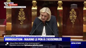 Marine Le Pen sur l'immigration: "Notre pays vit une véritable submersion"