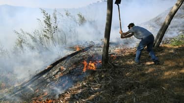 Un homme tente d'étouffer un feu à Bormes-les-Mimosas.