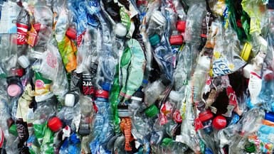 Des bouteilles de plastique.