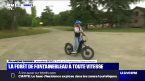 "L'été en live": la forêt Fontainebleau à toute vitesse en trottinette tout-terrain