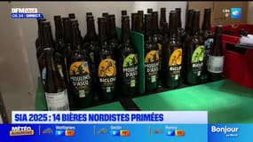 Salon de l'agriculture: quatorze bières des Hauts-de-France primées au concours général agricole