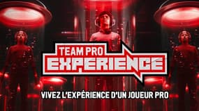 Team Pro Experience