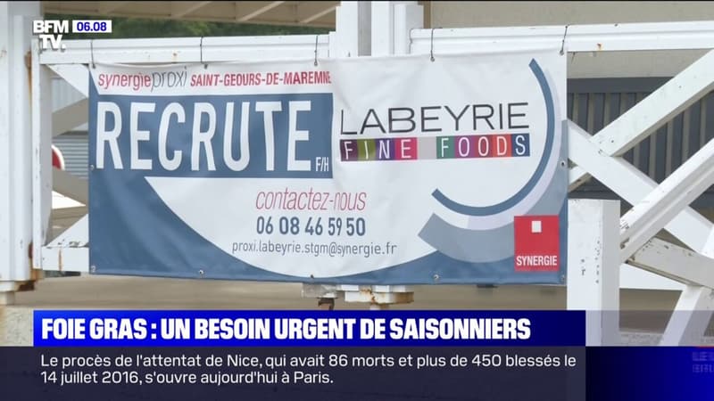 Contre la pénurie de main d'oeuvre, l'entreprise de foie gras Labeyrie a lancé un plan d'urgence pour recruter 500 saisonniers