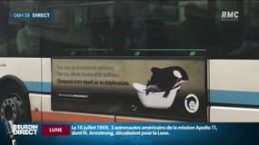 Captivité des mammifères: une campagne choc s'affiche sur les bus niçois