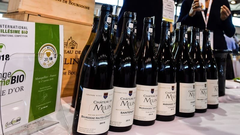 En 2021, la France consommera deux fois plus de vin bio qu’en 2013. Elle doublera alors l’Allemagne comme premier pays consommateur mondial, selon une étude de l'institut britannique IWSR réalisée pour l'interprofession SudVinBio.