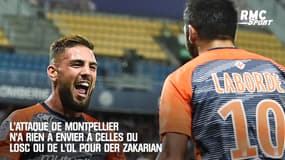 Pour Der Zakarian, le duo Laborde-Delort n'a rien à envier aux attaquants de l'OL et du LOSC