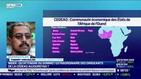 Niger: qu'attendre du sommet extraordinaire des dirigeants de la Cédéao aujourd'hui?