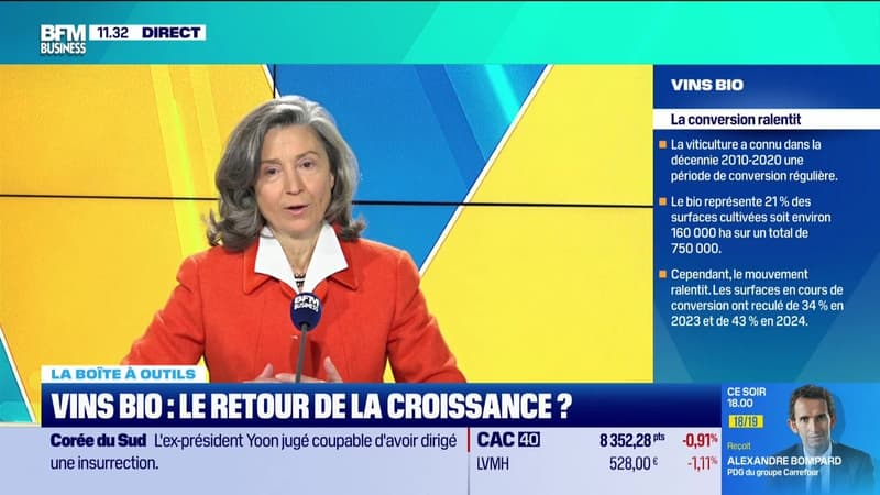 La boîte à outils : Vins bio, le retour de la croissance ? - 19/02