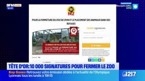 Lyon: une pétition réclame la fermeture du zoo de la Tête d'Or
