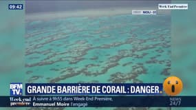 La Grande barrière de corail en danger en Australie