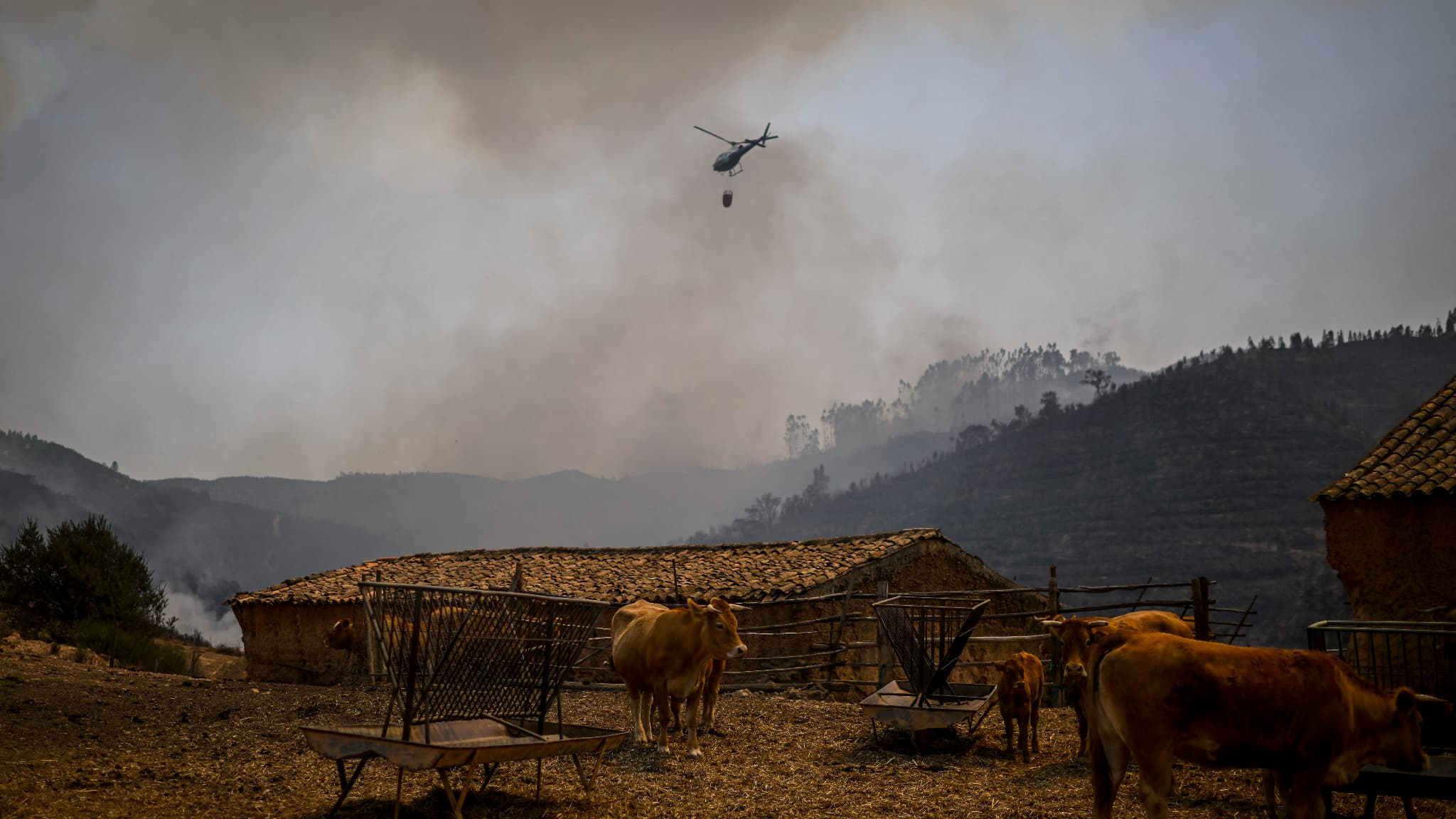 Un hélicoptère combat un feu de forêt à Reguengo, dans le district de Portalegre, au sud du Portugal, le 8 août 2023. Un hélicoptère combat un feu de forêt à Reguengo, dans le district de Portalegre, au sud du Portugal, le 8 août 2023.