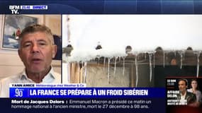 Vague de froid en France: "Le phénomène n'a rien d'exceptionnel", pour le météorologue Yann Amice