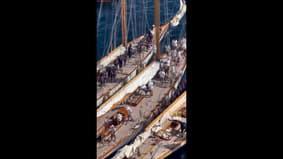 Iconic Business à la Monaco Classic Week