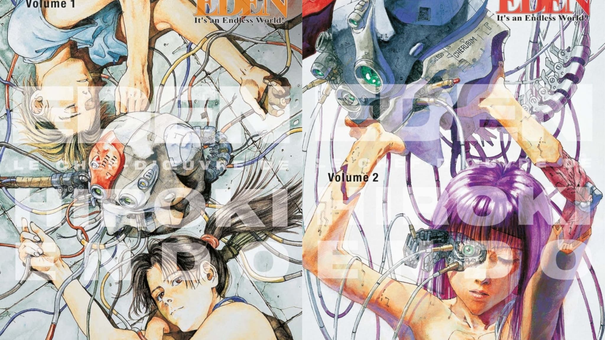 Les deux premiers tomes du manga "Eden" Les deux premiers tomes du manga "Eden"