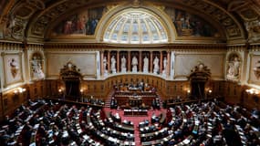 Le Sénat a refusé de voter les équilibres généraux fixés par le gouvernement. 