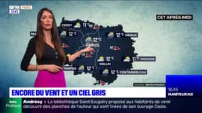 Météo Paris-Ile de France du 21 février: Des averses et des rafales de vent