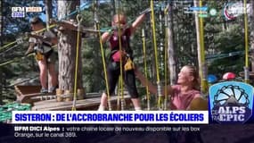 Alpes-de-Haute-Provence: de l'accrobranche pour les écoliers de Sisteron