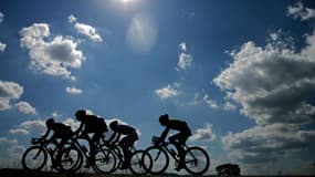 Des cyclistes (illustration)