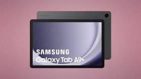 Qui a dit que cette tablette Samsung n'allait pas surprendre les internautes avec ce nouveau prix ?