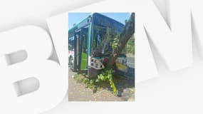 Un bus de la ligne 111 a percuté un arbre et un candélabre à Saint-Maur-des-Fossés
