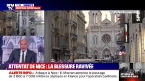 "Les attentats ne peuvent que faire revivre le traumatisme." L'avocate des victimes des attentats de janvier 2015 réagit à l'attaque de Nice 
