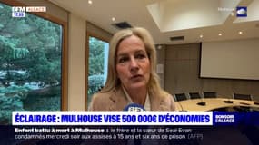 Mulhouse: la Ville vise 500.000 euros d'économies avec son plan lumière